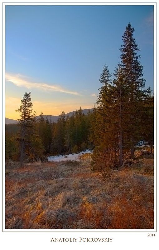 анатолий покровский, полонина погар, горганы, весна, горы, карпаты photo preview