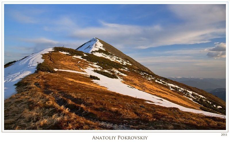 анатолий покровский, трава, снег, большая сывуля, горганы, весна, горы, карпаты photo preview