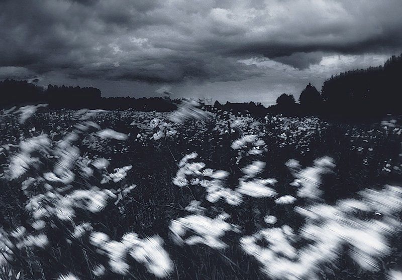 ветер photo preview