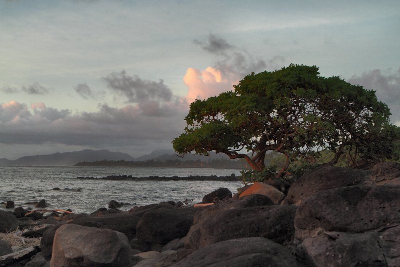 станко, пейзаж, kauai, hawaii photo preview