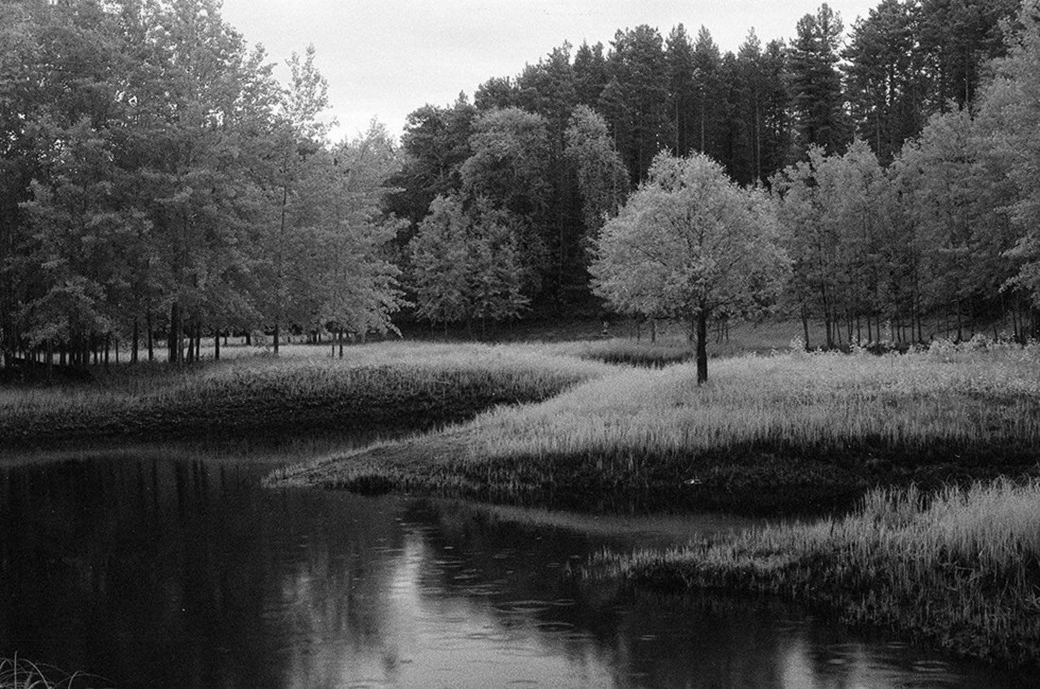 Автор: Игорь Немилостивый , ilford sfx, Игорь Немилостивый