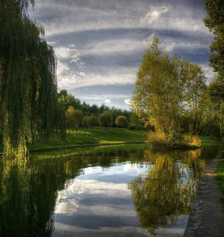 осень, река, остров, деревья, свислочь, минск photo preview