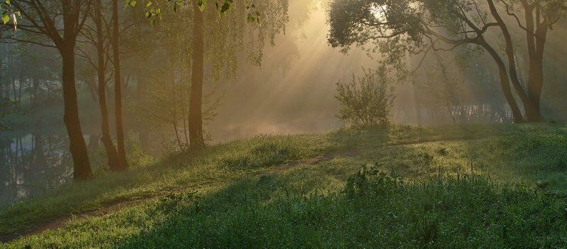 ...утренние нюансы...2photo preview