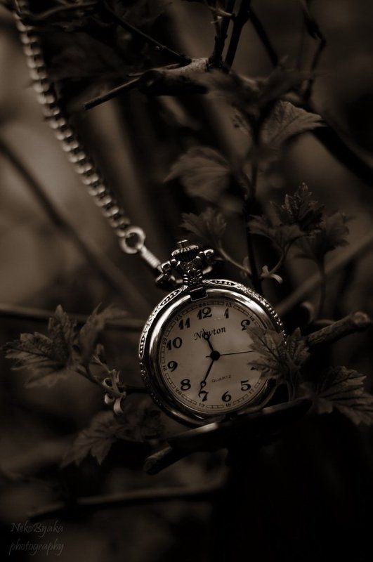 watch, pocket, watches, old, старинные, карманные, часы, растения, plants photo preview