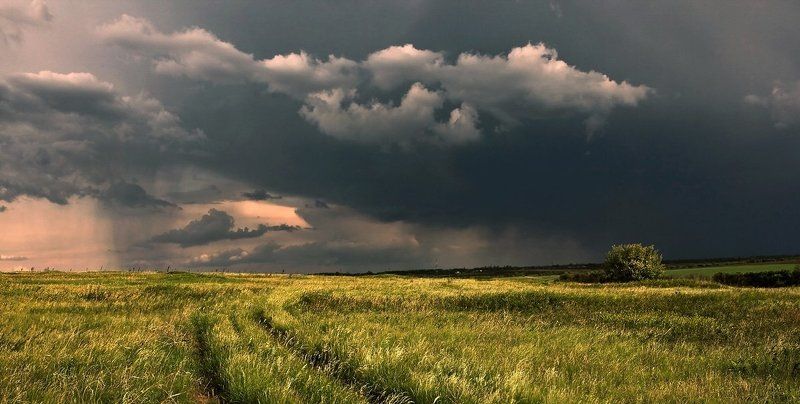 Эти летние дожди...photo preview