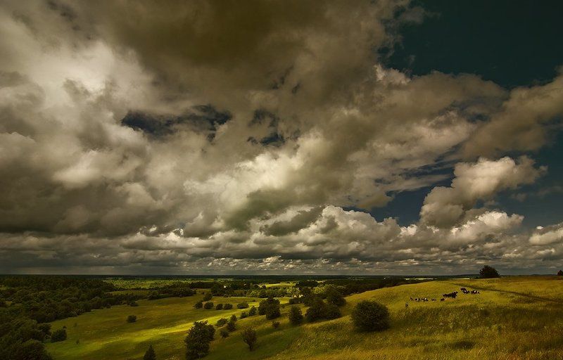 дали  фото превью