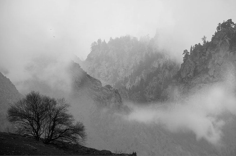 туман, облака, горы, главный кавказский хребет, кбр photo preview