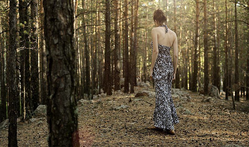 forrest, autumn photo preview