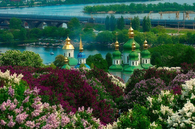 город, киев, церковь, сирень, река Стольный Градphoto preview