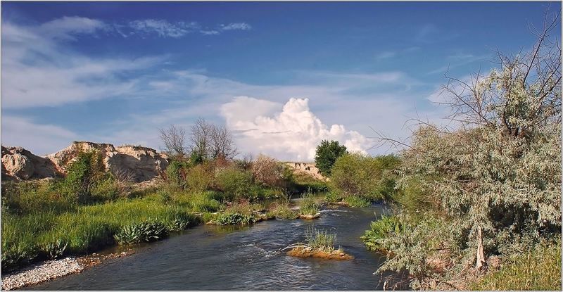 природа photo preview