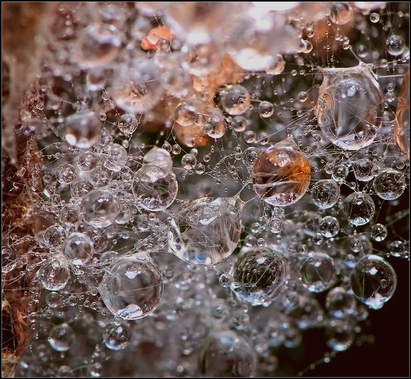 , вода, капли, макро photo preview