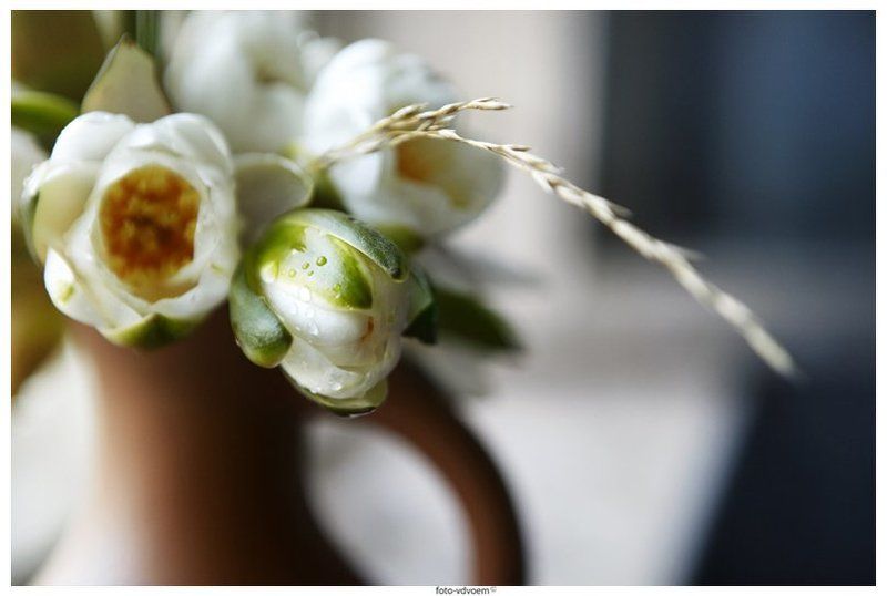 макро, водяная лилия, foto-vdvoem, фото-вдвоем photo preview