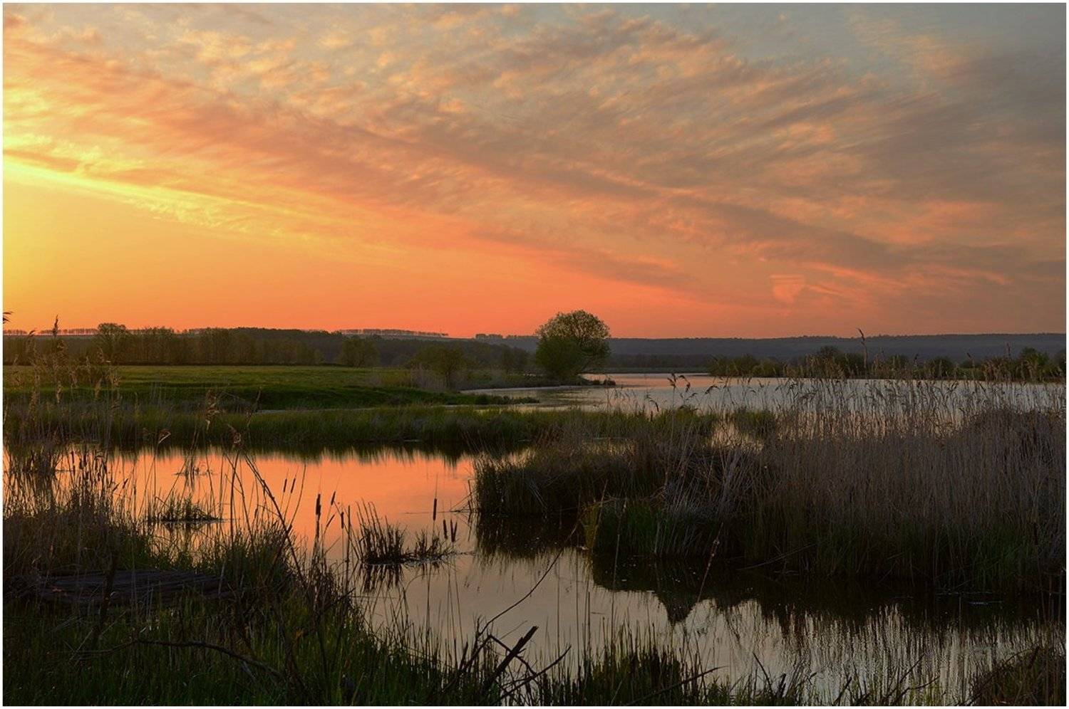Автор: Евгений strannik521 , Евгений strannik521