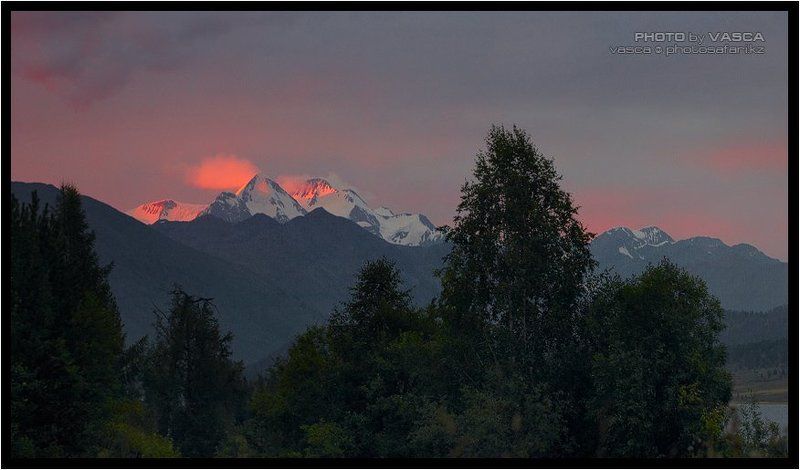 kazakhstan, altay, photo safari, белуха, язевое Белуха с оз. Язевоеphoto preview