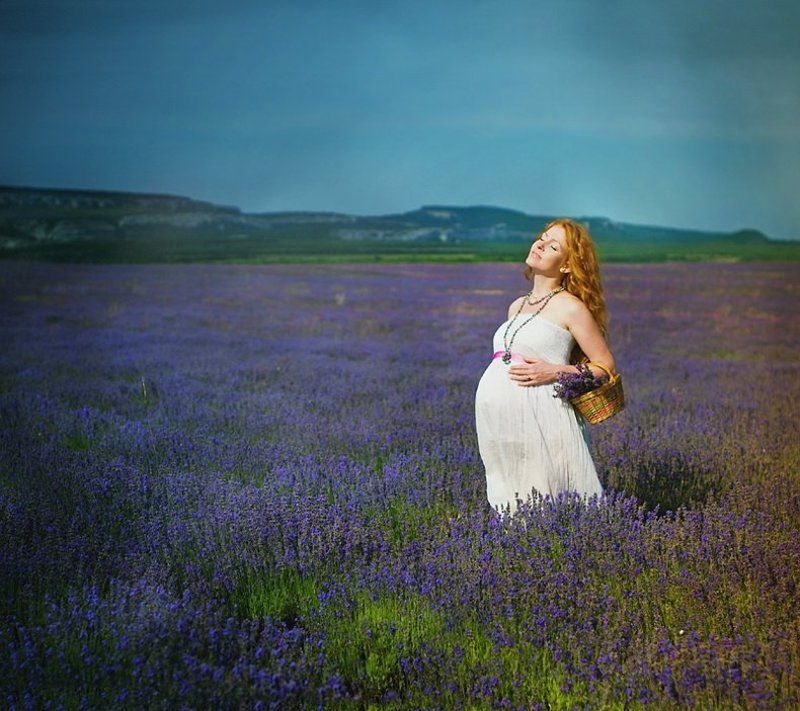 лаванда, катя  фото превью