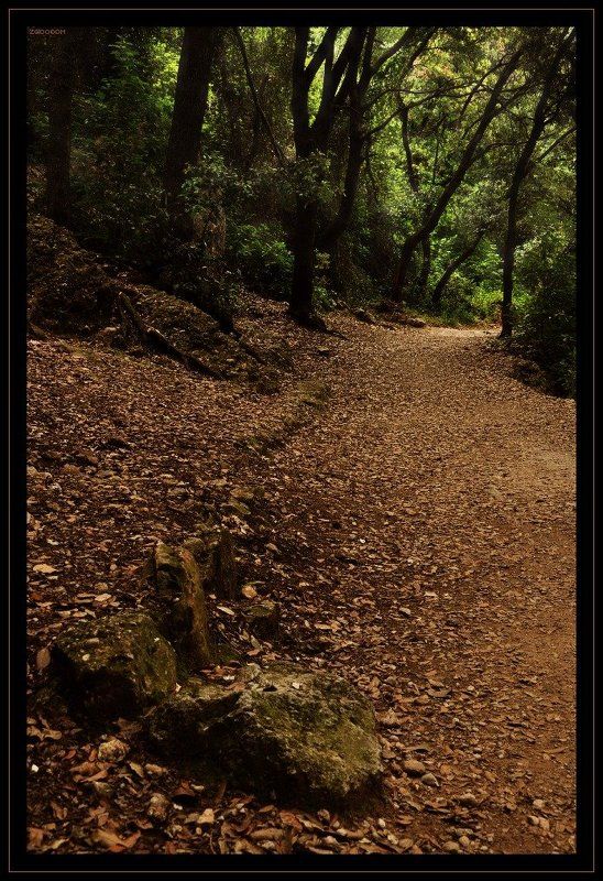 испания, каталония, монастырь, монсеррат  фото превью