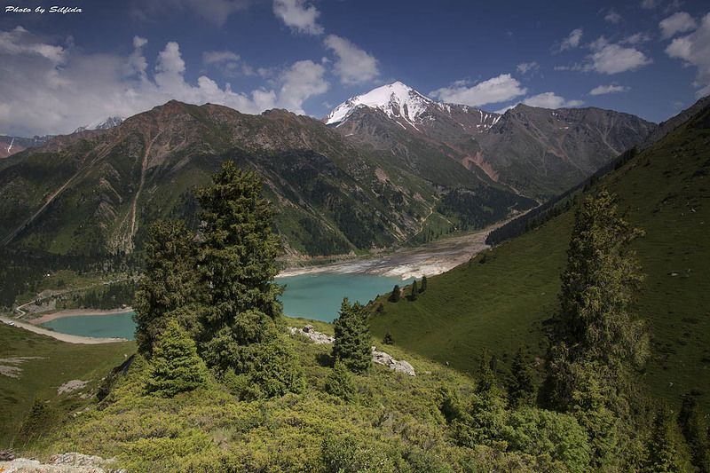 горы, озеро, облака, ели, джайляу photo preview