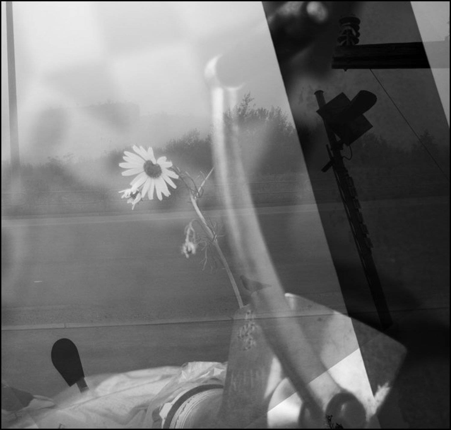 Автор: Александр Гришаев , Александр Гришаев