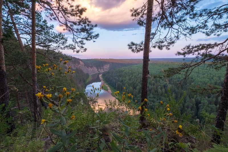 Цветы на Великанеphoto preview