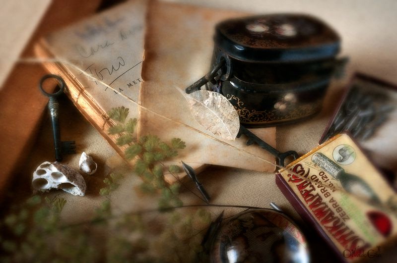 La dedicatoria de Tonophoto preview