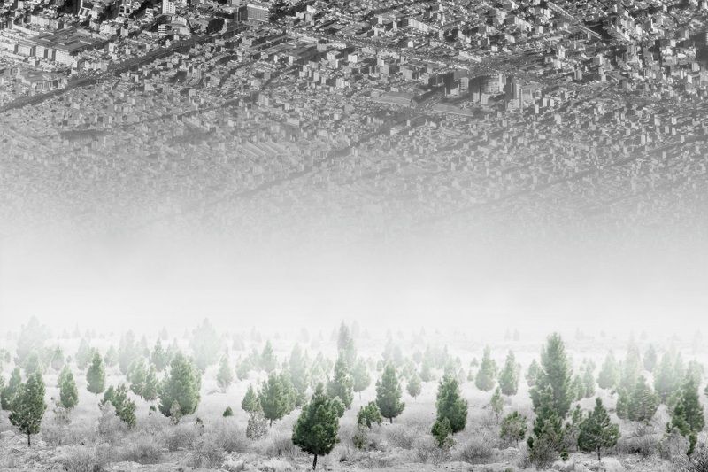 Somewhere i belongphoto preview