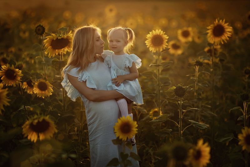 подсолнухи, закат, мама, ребенок Вечер в полеphoto preview