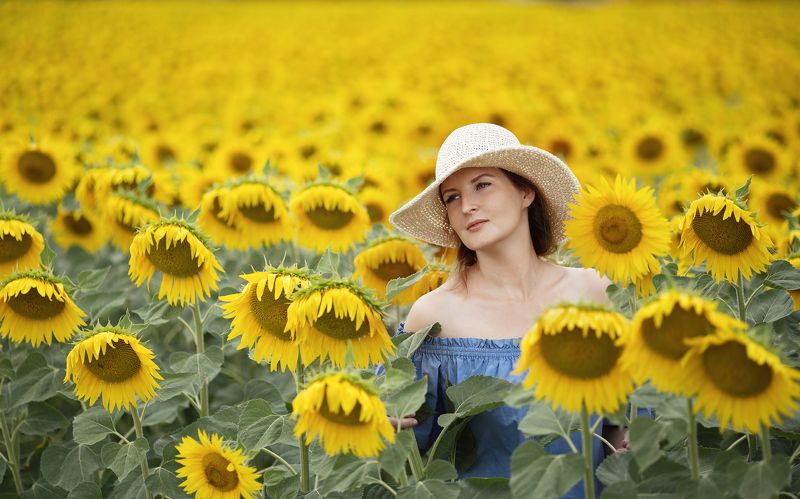 *** фото превью