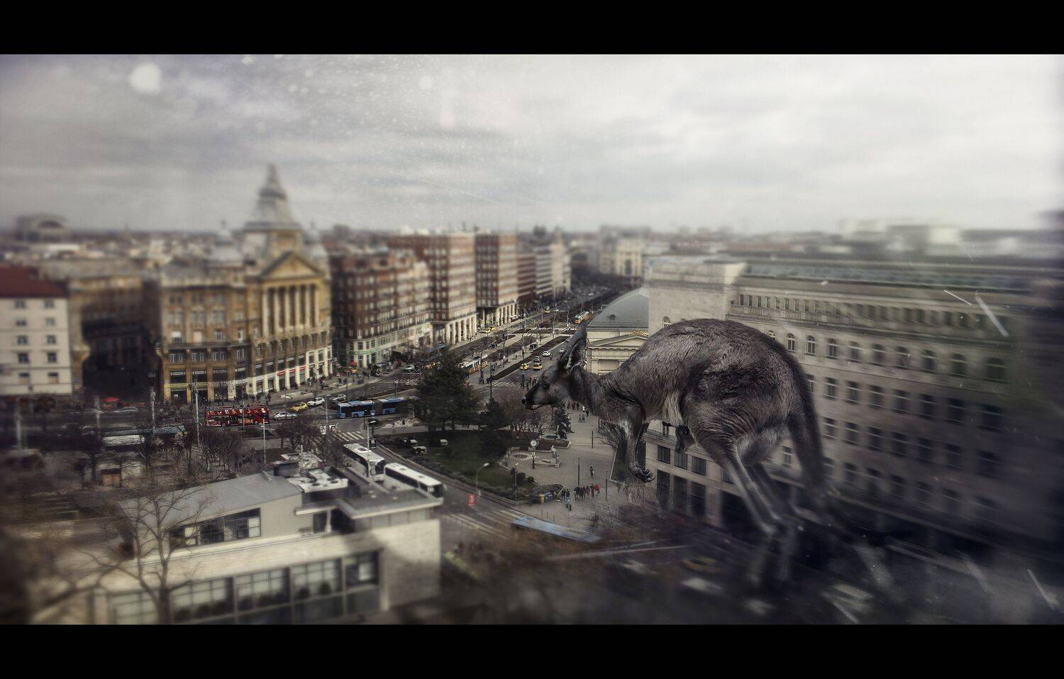 My world has disappeared. Автор: CDaniel Daniel , CDaniel Daniel