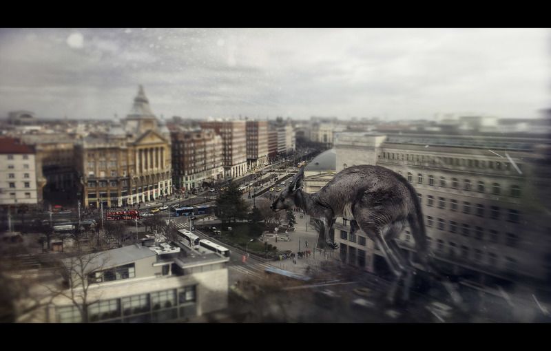 My world has disappearedphoto preview