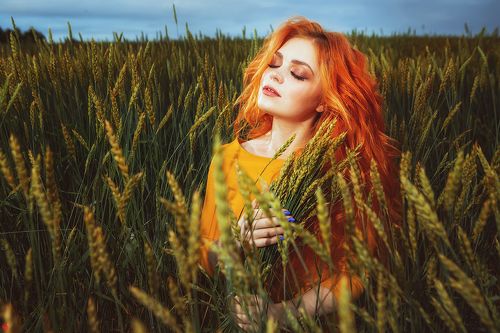 Вечерний хлеб