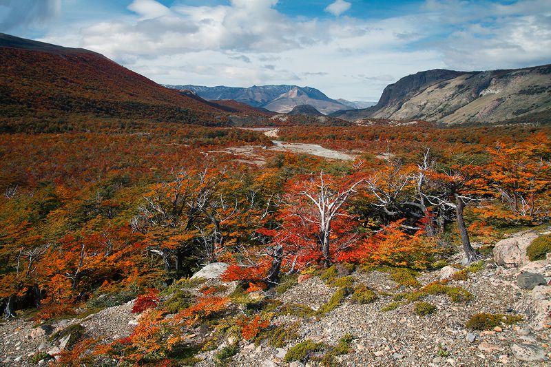 панорамки из Эль Шалтена фото превью