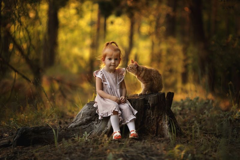 кот, рыжие, дети Мой новый друг, и мы похожи...photo preview