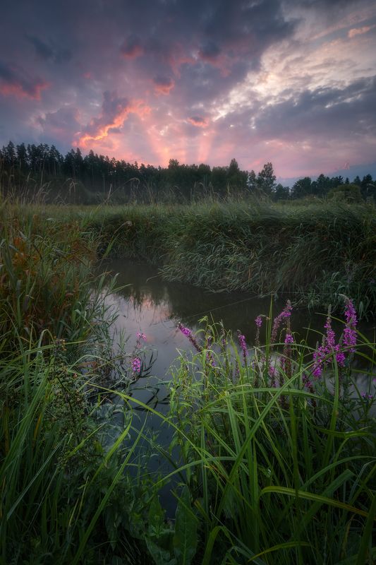 river Kinfisher\'s kingdom...photo preview