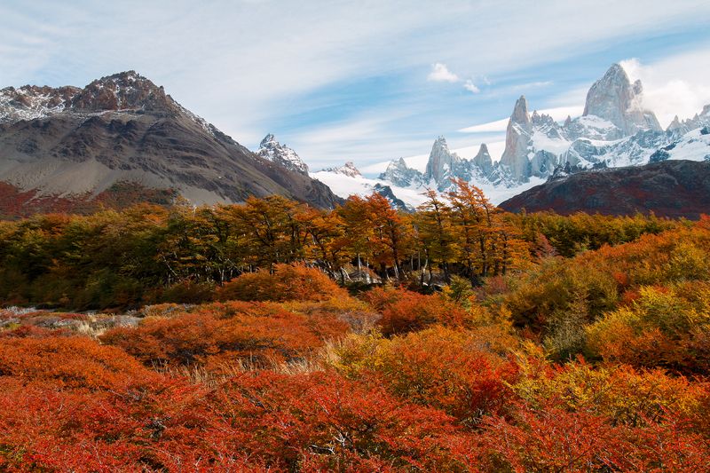 landscape Пушисто и лысовато. фото превью