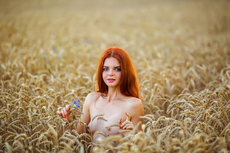 Пшеничкаphoto preview