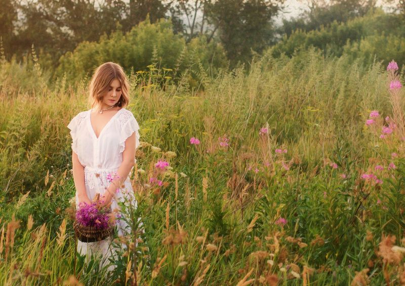 Полевые цветыphoto preview