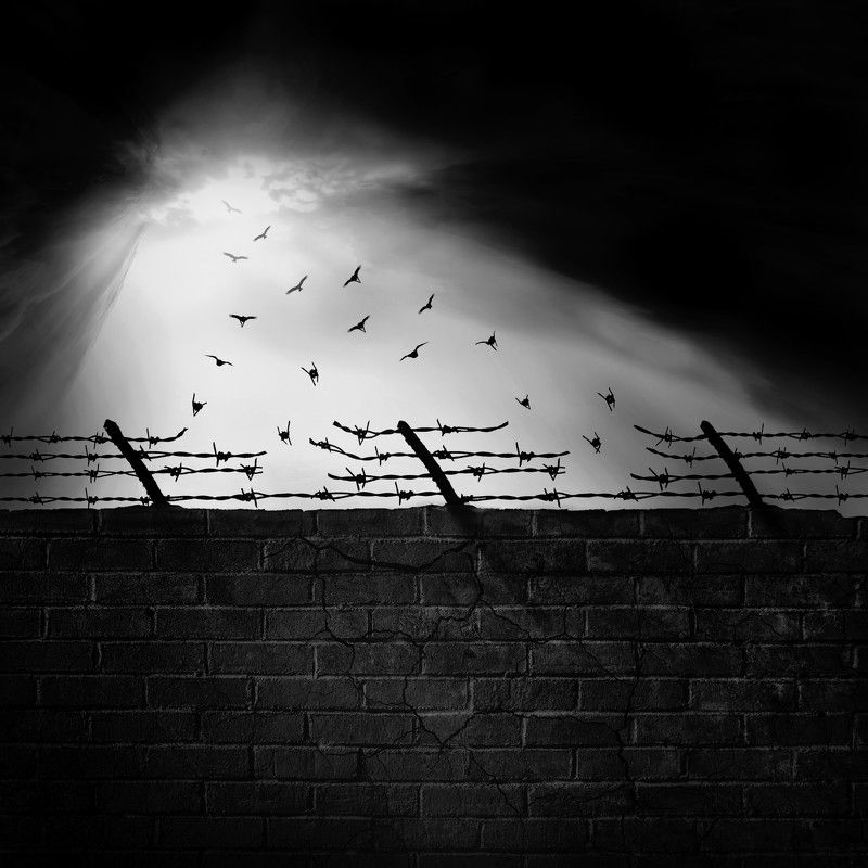 #35photo #surrealart#photoshop#ps_fantasy#art_minimal #bnw_dream #photography#minimalism#conceptual#fineart #instagram#ps_dreams#bnwminimalismmag#art_digital #ir_photographer#ir_aks#minimal#canon#blackandwhite#bnw#surreal#hadimalijani#art#fantastic_earth# Freedomphoto preview