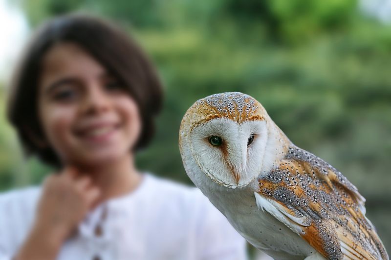 Falconieri in erba.photo preview