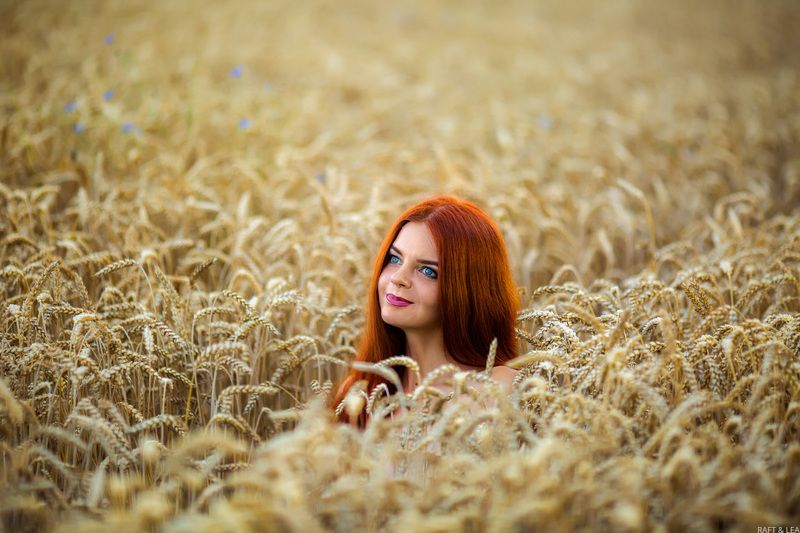 Пшеничкаphoto preview