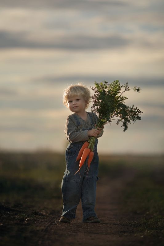 ребенок, поле,закат,деревня Фермерphoto preview