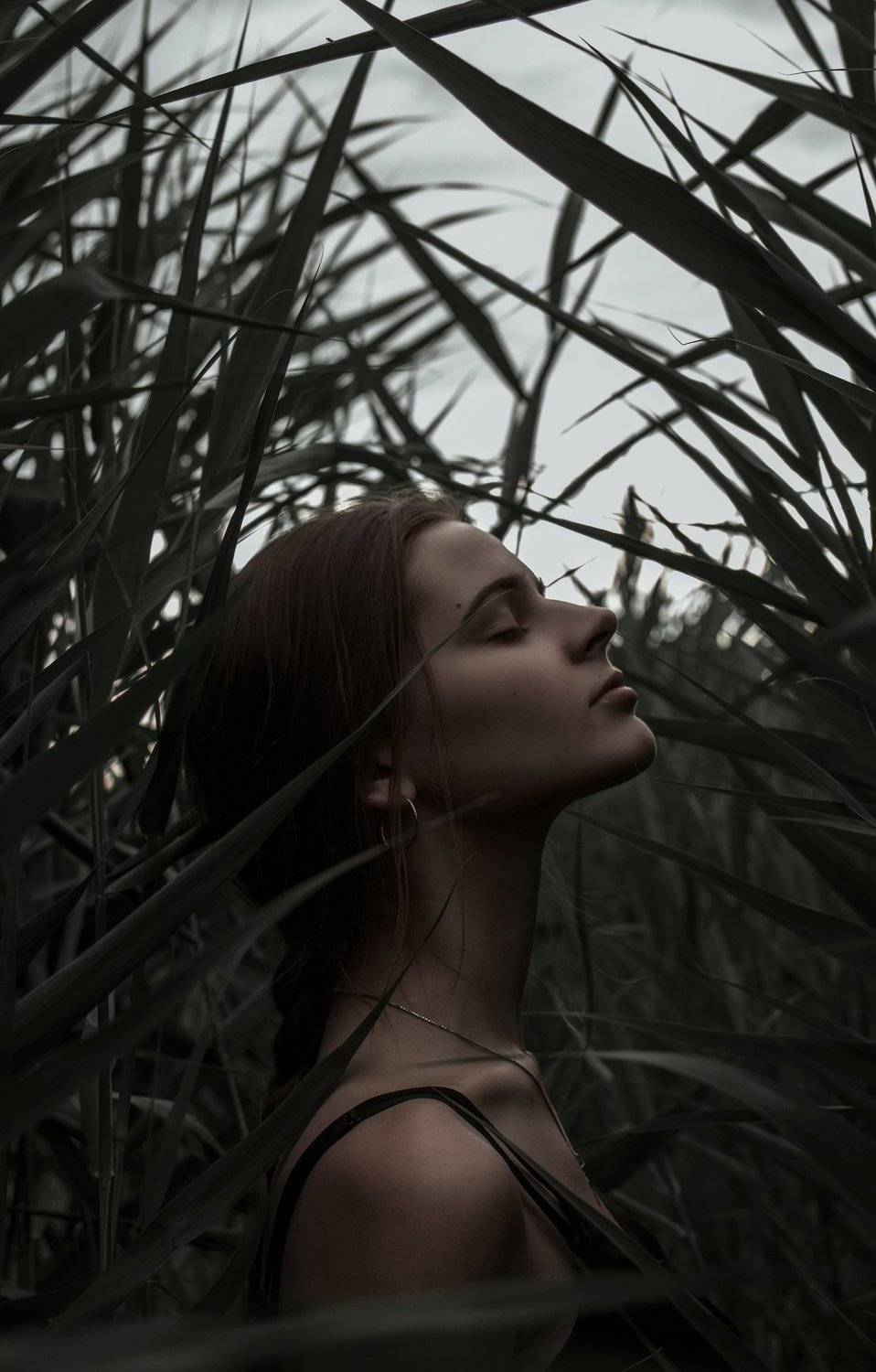 portrait, face, female portrait, nature, art, girl, beauty, портрет, девушка, женский портрет, природа, арт, Павел Хмелёв