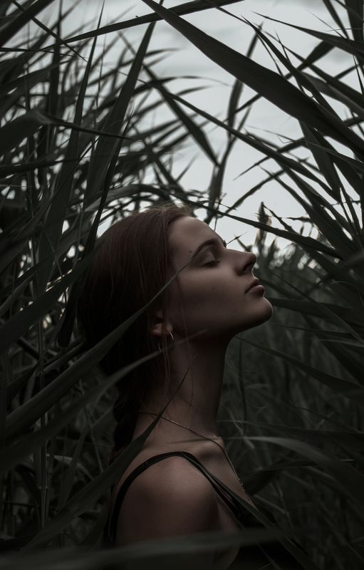 portrait, face, female portrait, nature, art, girl, beauty, портрет, девушка, женский портрет, природа, арт liliphoto preview