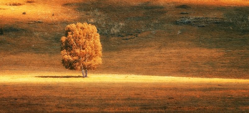 Золотая осеньphoto preview