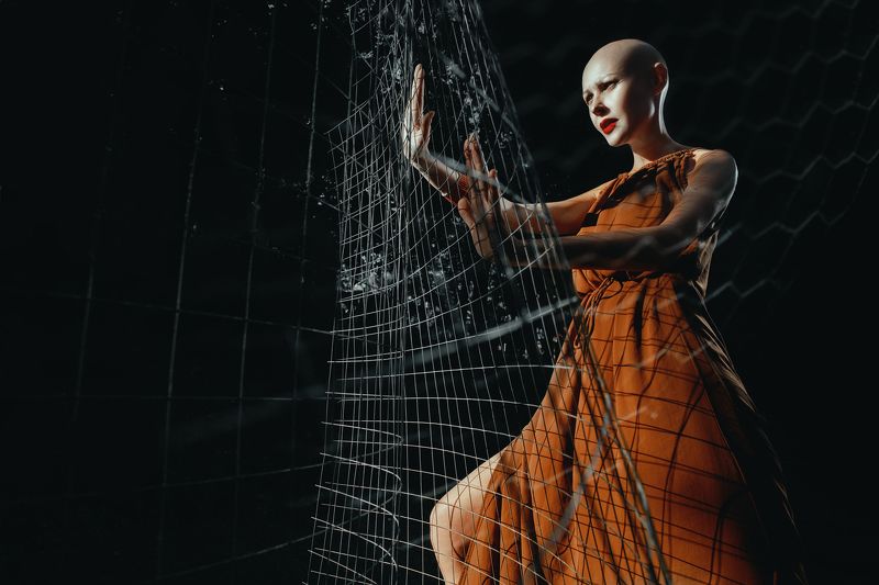 Barrierphoto preview