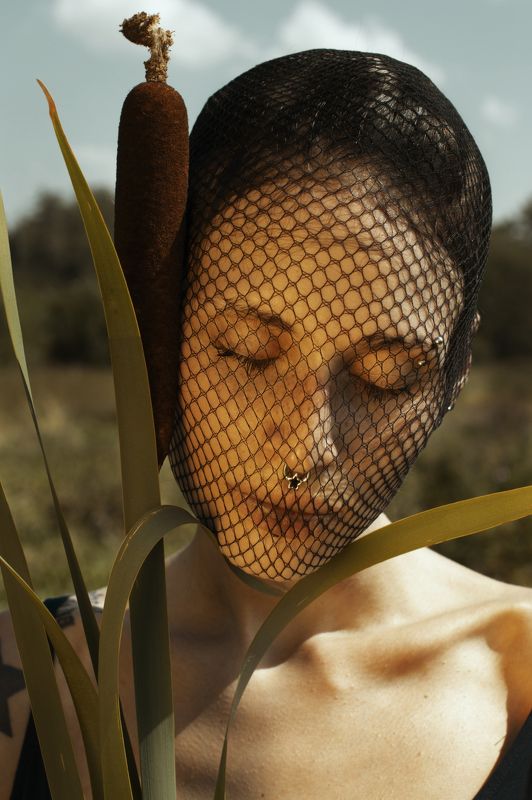 Cells and Linesphoto preview