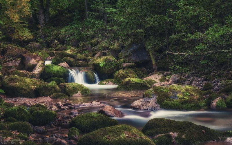 Средь замшелых камней...photo preview