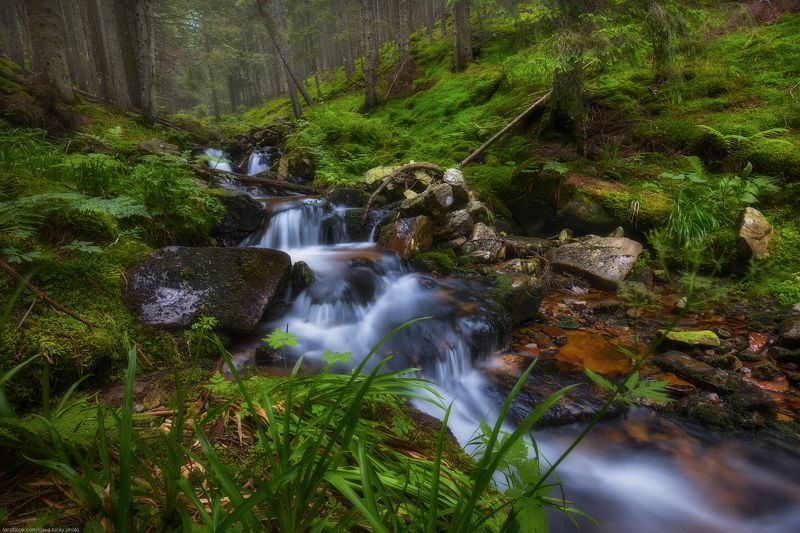 Горный ручейphoto preview