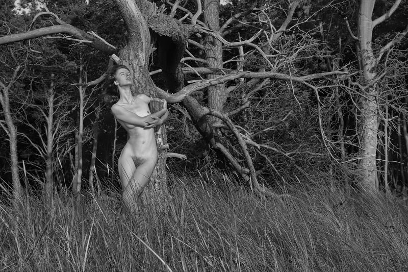 Baum, Tree Baumphoto preview