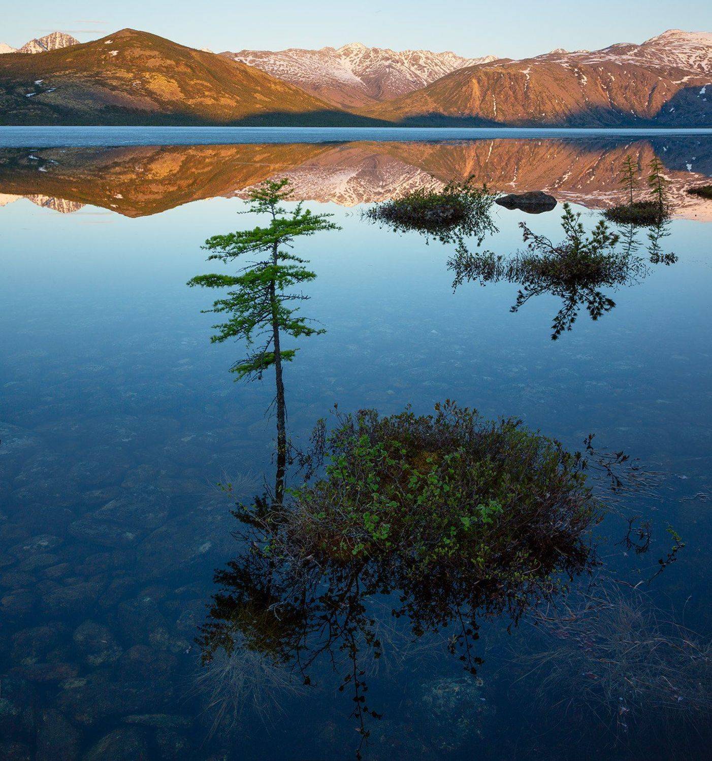 озеро, колыма, июнь, деревья, отражение, горы, рассвет, вода, берег, утро, Антон Селезнев