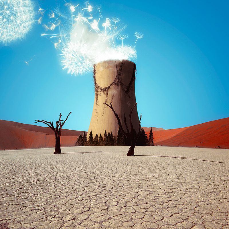 Семена АЭСphoto preview